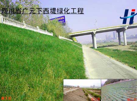 四川省广元下西堤绿化工程