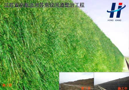 江苏省京杭运河苏南段河道整治工程