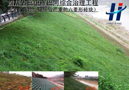 四川省巴中市巴河综合治理工程 （原基础为——年久失修、破坏较严重的六菱形砖块）