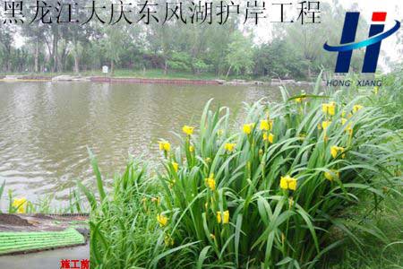 黑龙江大庆东风湖护岸工程