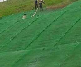 宏祥土工网垫护坡绿化