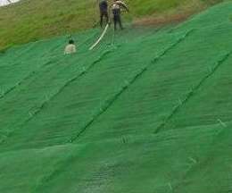 宏祥土工网垫护坡绿化