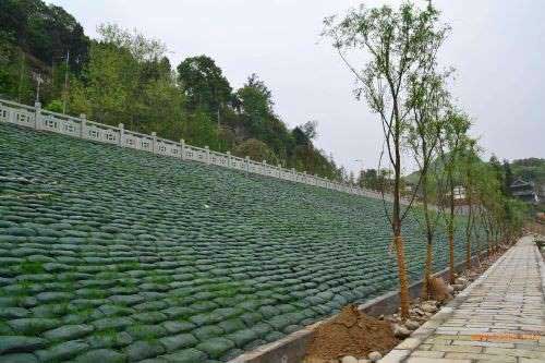 宏祥植生袋绿化各级公路边坡