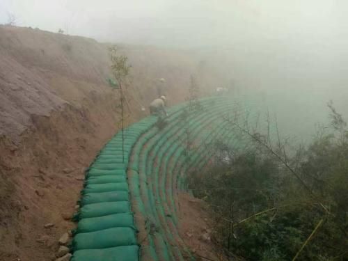 植生袋建植边坡草坪的方法