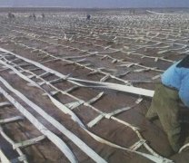 防淤堵塑料排水带既能滤水又可加固软土地基