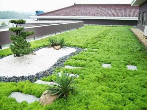 环保植被毯屋顶绿化