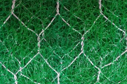 三维土工网垫植草防护