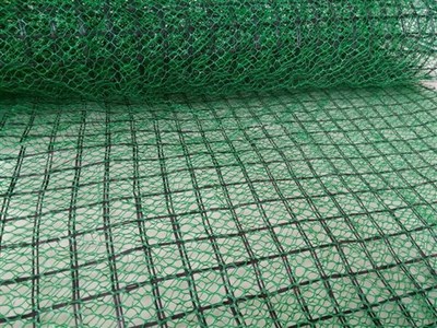 绿化毯